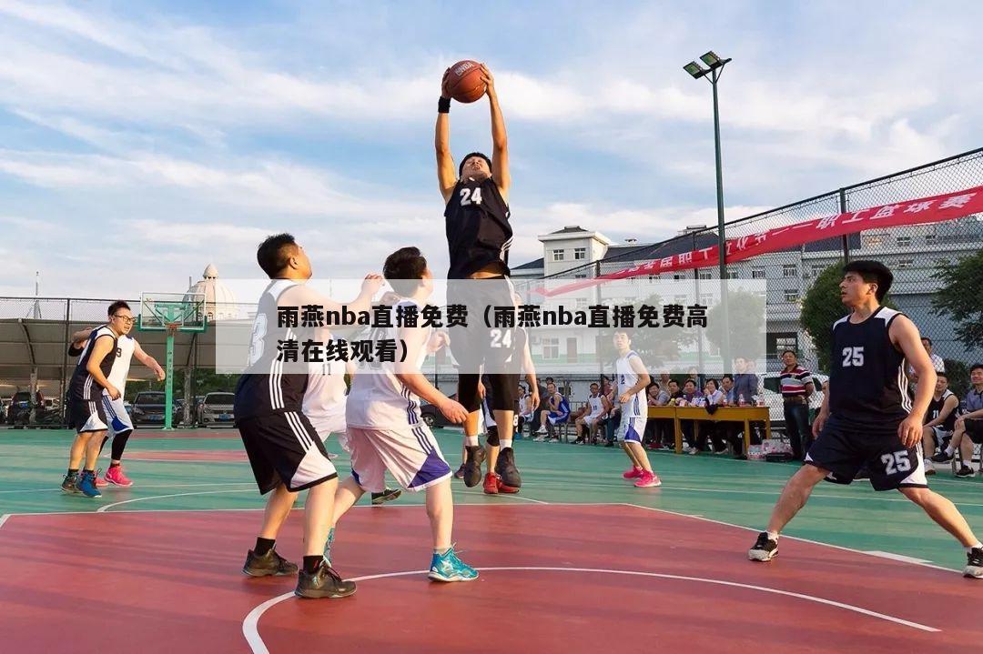 雨燕nba直播免费（雨燕nba直播免费高清在线观看）