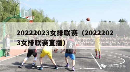 20222023女排联赛（20222023女排联赛直播）