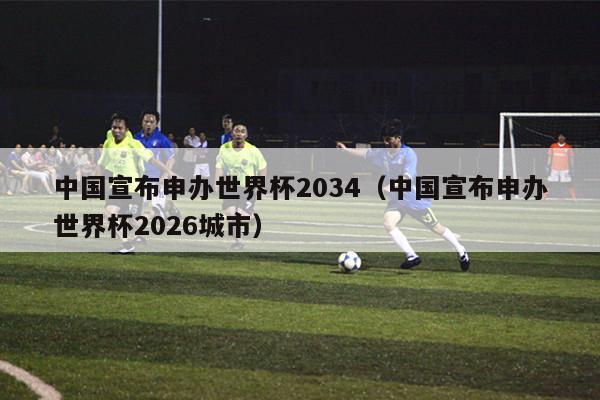 中国宣布申办世界杯2034（中国宣布申办世界杯2026城市）