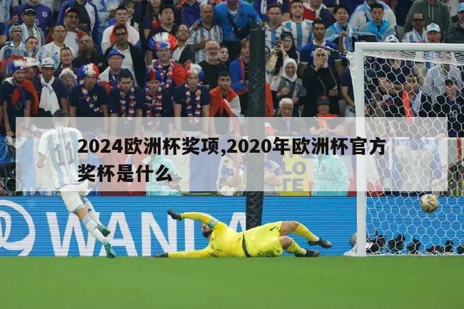 2024欧洲杯奖项,2020年欧洲杯官方奖杯是什么