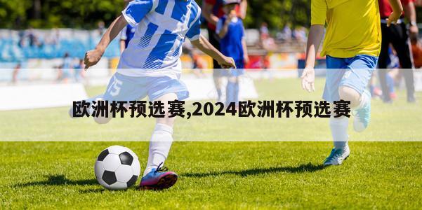 欧洲杯预选赛,2024欧洲杯预选赛